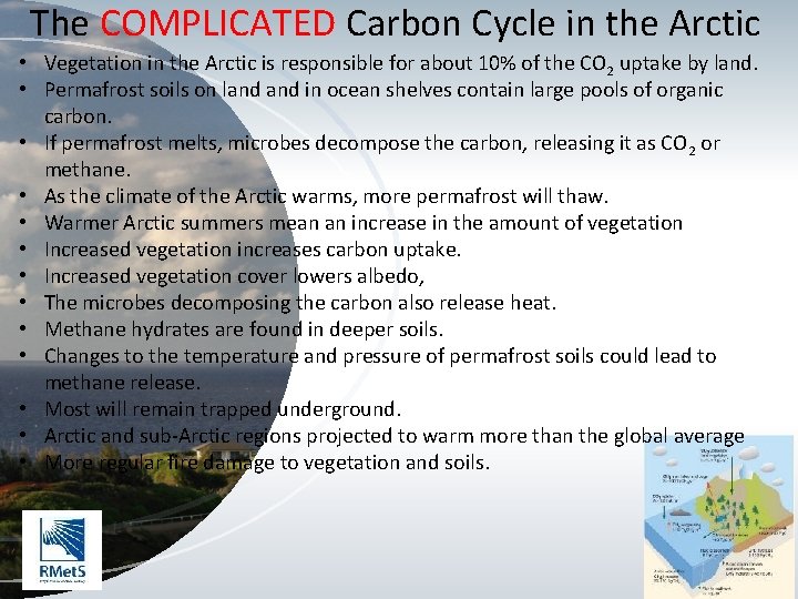 The COMPLICATED Carbon Cycle in the Arctic • Vegetation in the Arctic is responsible