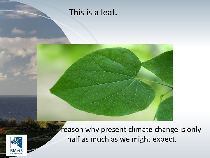 This is a leaf. It’s a major reason why present climate change is only
