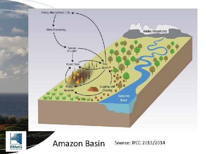 Amazon Basin Source: IPCC 2013/2014 