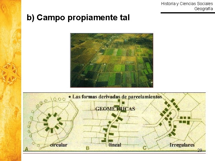 Historia y Ciencias Sociales Geografía b) Campo propiamente tal 29 