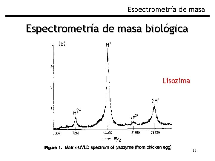 Espectrometría de masa biológica Lisozima 11 