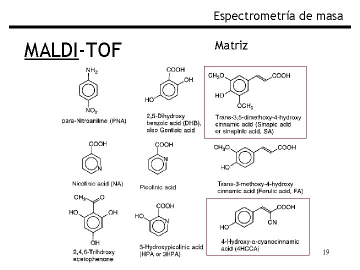 Espectrometría de masa MALDI-TOF Matriz 19 