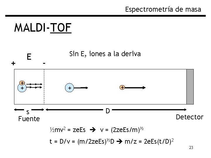 Espectrometría de masa MALDI-TOF E + Sin E, iones a la deriva Fig. Separación