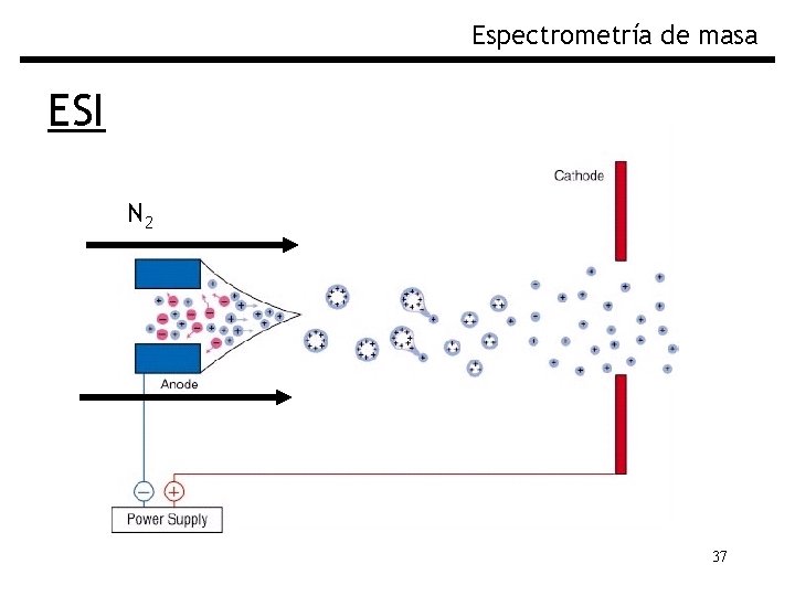 Espectrometría de masa ESI N 2 37 