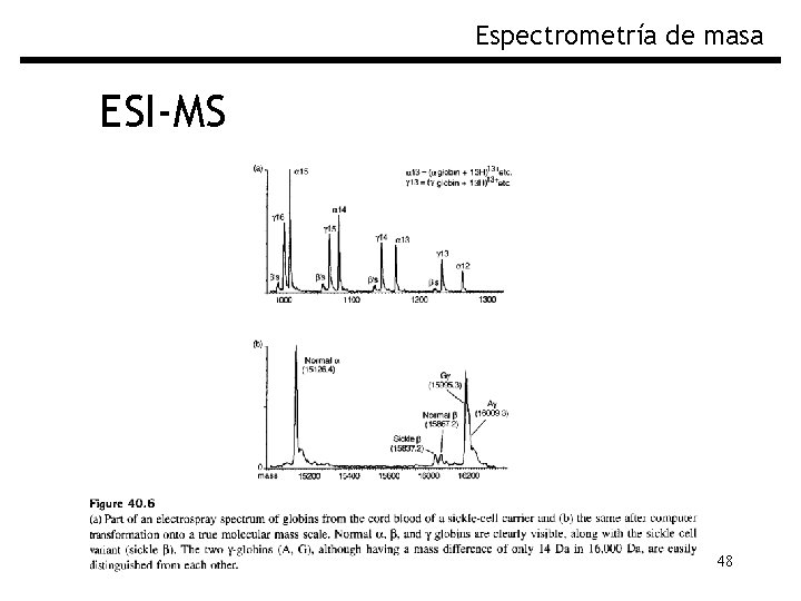 Espectrometría de masa ESI-MS 48 