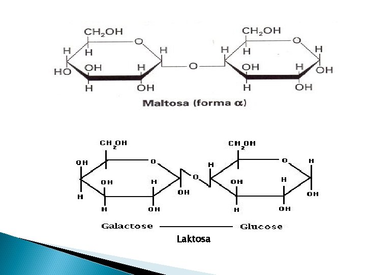 Laktosa 