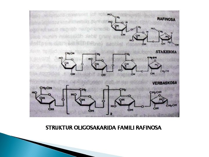 STRUKTUR OLIGOSAKARIDA FAMILI RAFINOSA 