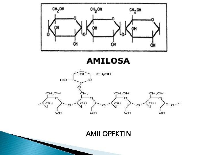 AMILOPEKTIN 