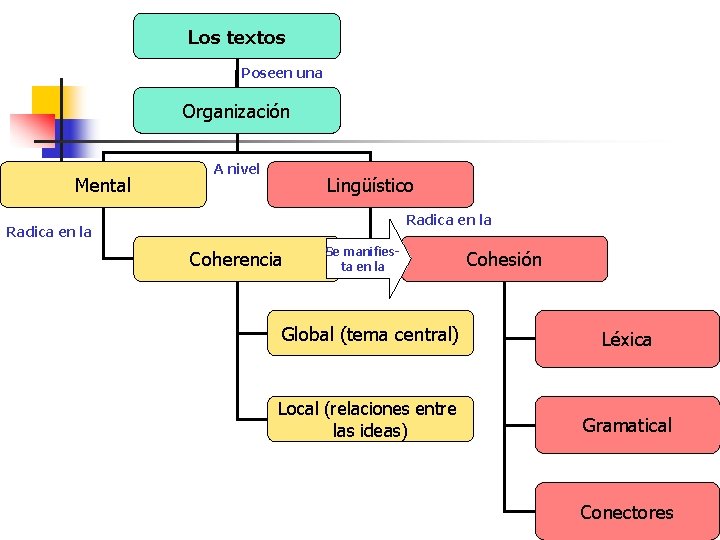 Los textos Poseen una Organización Mental A nivel Lingüístico Radica en la Coherencia Se