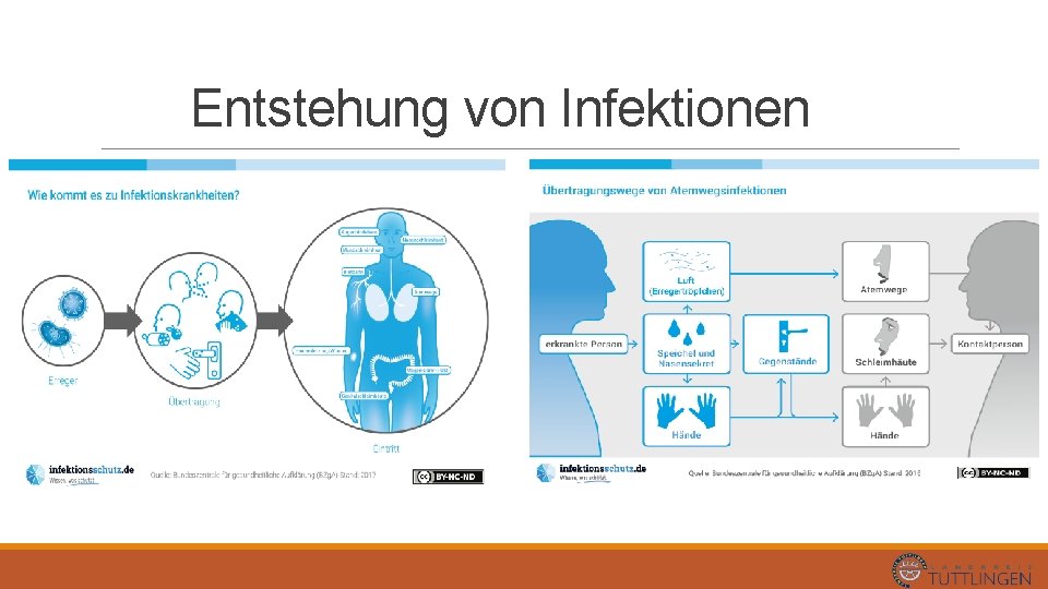 Entstehung von Infektionen 