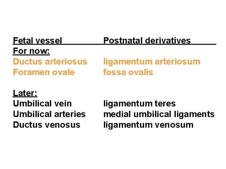 Fetal vessel For now: Ductus arteriosus Foramen ovale Later: Umbilical vein Umbilical arteries Ductus