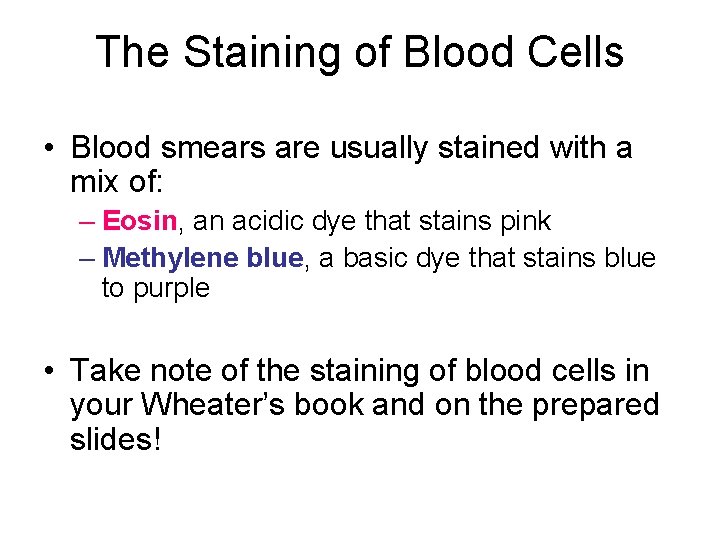 The Staining of Blood Cells • Blood smears are usually stained with a mix