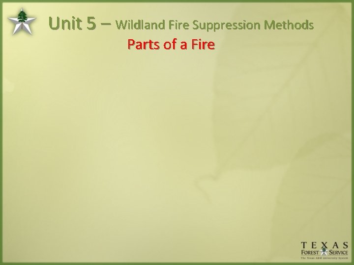 Unit 5 – Wildland Fire Suppression Methods Parts of a Fire 