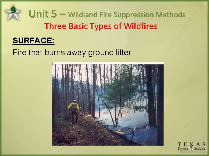 Unit 5 – Wildland Fire Suppression Methods Three Basic Types of Wildfires SURFACE: Fire