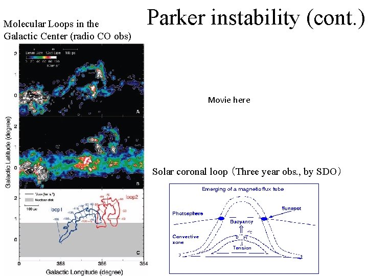 Molecular Loops in the Galactic Center (radio CO obs) Parker instability (cont. ) Movie