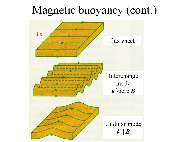 Magnetic buoyancy (cont. ) flux sheet Interchange mode k perp B Undular mode k