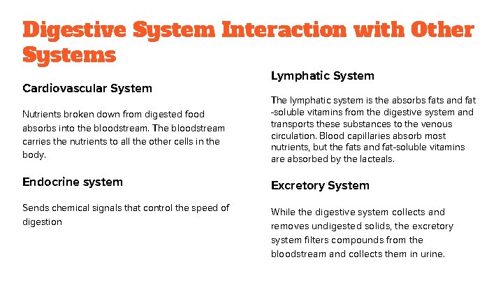 Digestive System Interaction with Other Systems Cardiovascular System Lymphatic System Nutrients broken down from
