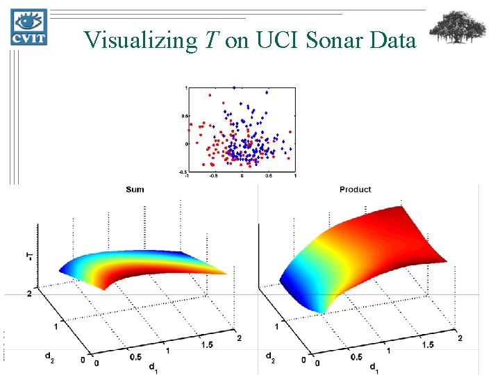 IIIT Hyderabad Visualizing T on UCI Sonar Data 