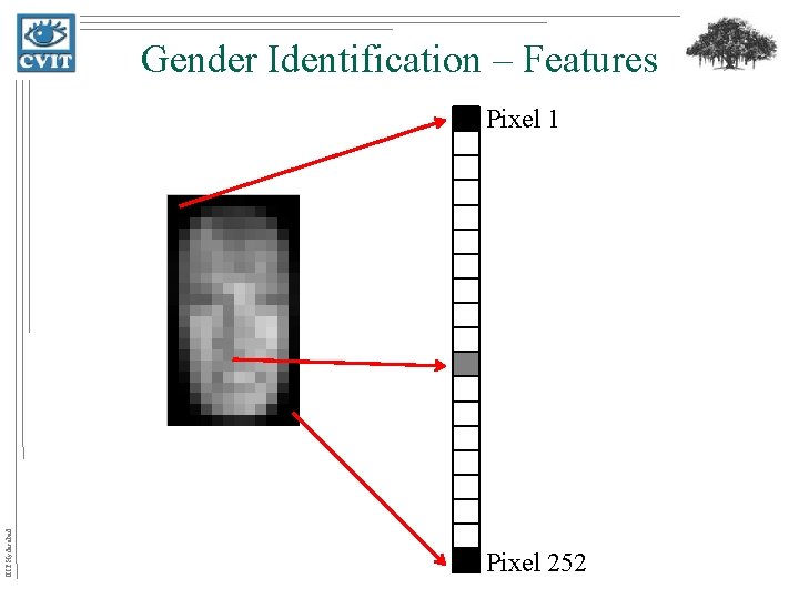 Gender Identification – Features IIIT Hyderabad Pixel 1 Pixel 252 