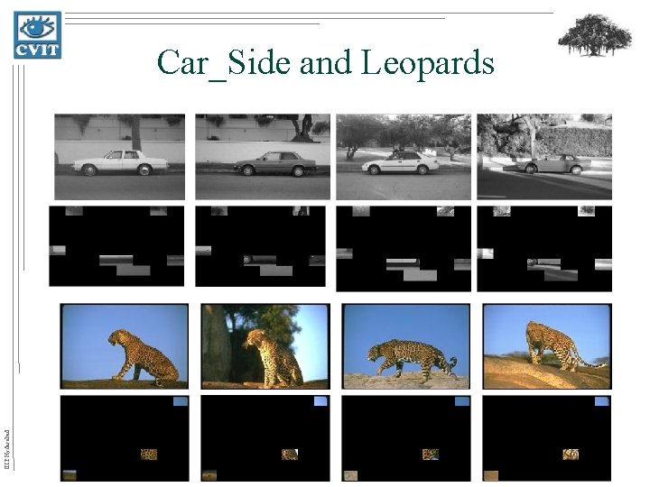 IIIT Hyderabad Car_Side and Leopards 