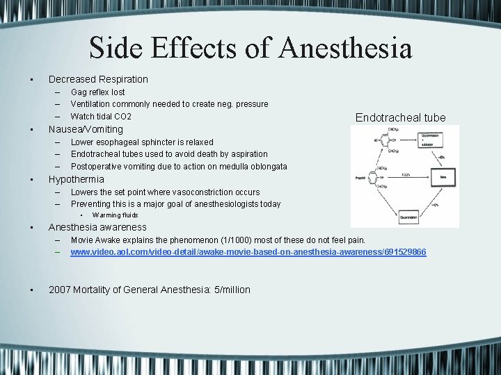 Side Effects of Anesthesia • Decreased Respiration – – – • Lower esophageal sphincter