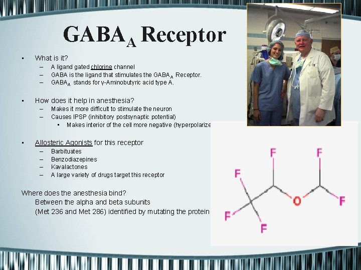 GABAA Receptor • What is it? – – – • How does it help