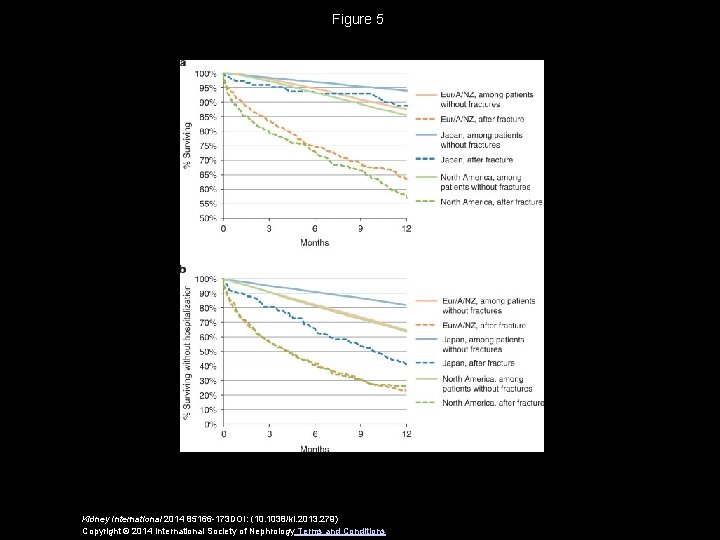 Figure 5 Kidney International 2014 85166 -173 DOI: (10. 1038/ki. 2013. 279) Copyright ©