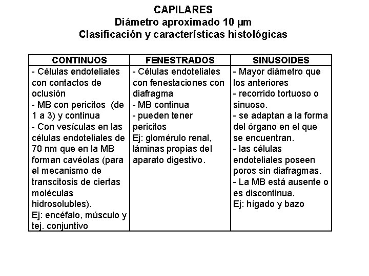 CAPILARES Diámetro aproximado 10 µm Clasificación y características histológicas CONTINUOS - Células endoteliales contactos