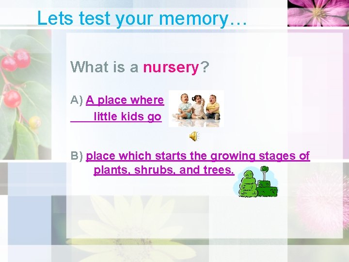 Lets test your memory… What is a nursery? A) A place where little kids