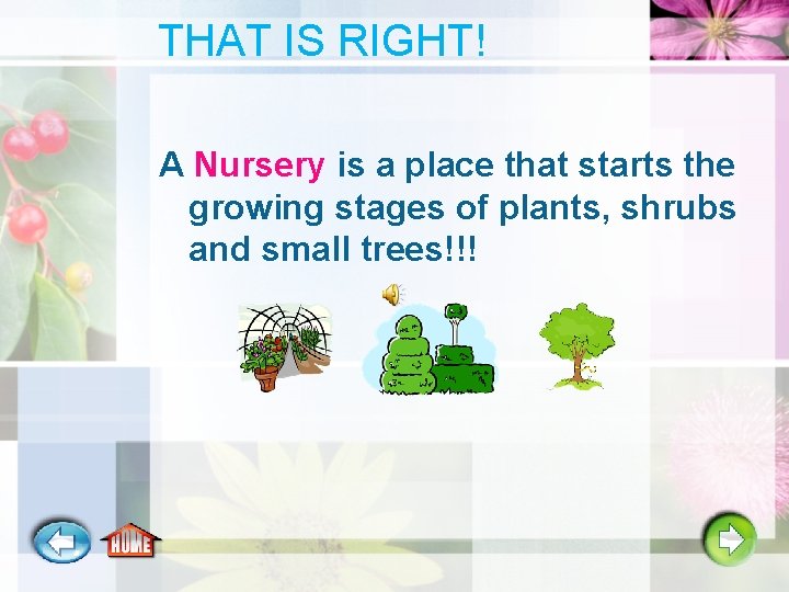 THAT IS RIGHT! A Nursery is a place that starts the growing stages of