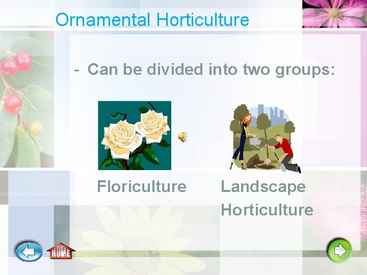Ornamental Horticulture - Can be divided into two groups: Floriculture Landscape Horticulture 