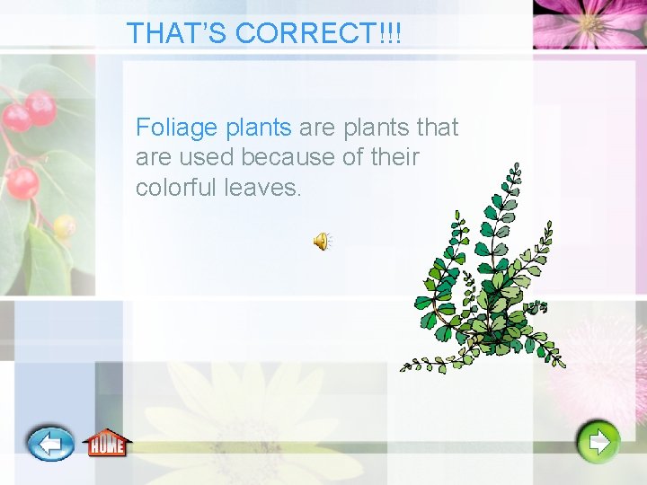 THAT’S CORRECT!!! Foliage plants are plants that are used because of their colorful leaves.