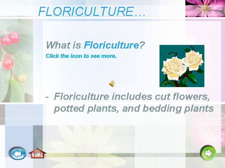 FLORICULTURE… What is Floriculture? Click the icon to see more. - Floriculture includes cut