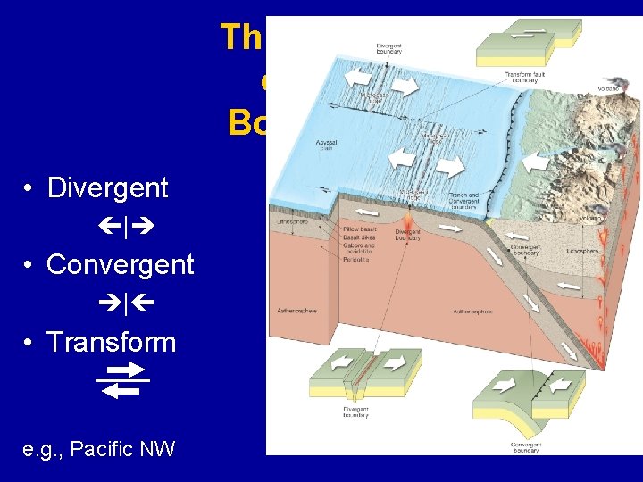 Three Types of Plate Boundaries • Divergent | • Convergent | • Transform e.