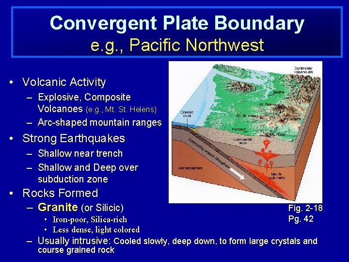 Convergent Plate Boundary e. g. , Pacific Northwest • Volcanic Activity – Explosive, Composite