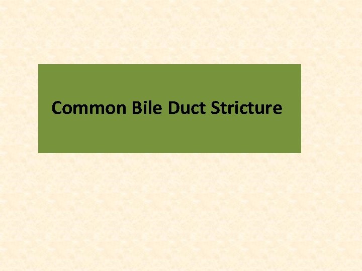 Common Bile Duct Stricture 
