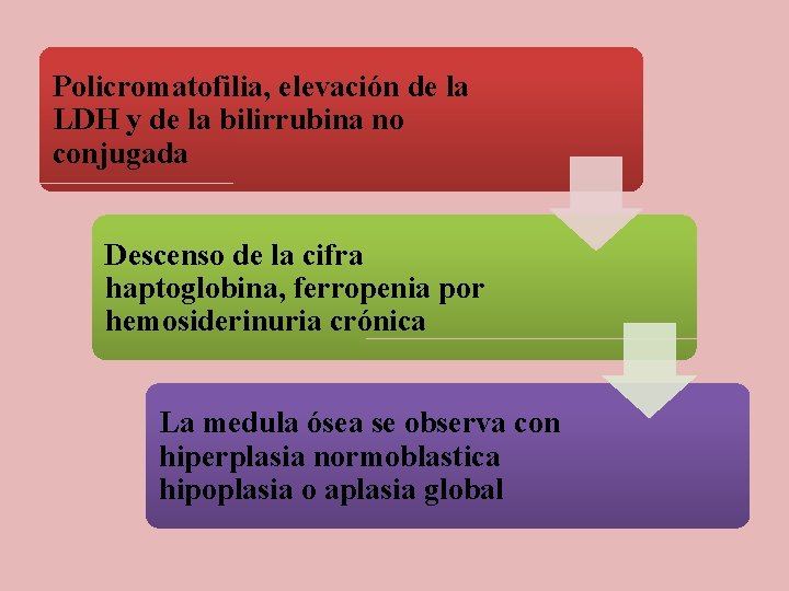 Policromatofilia, elevación de la LDH y de la bilirrubina no conjugada Descenso de la