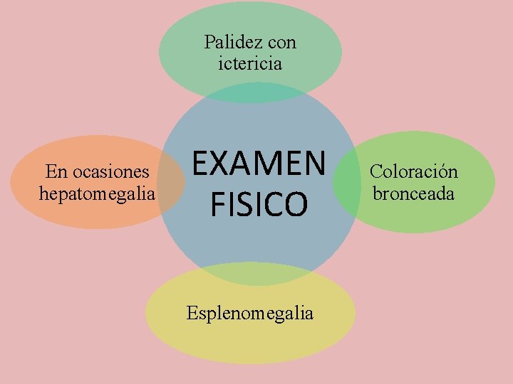 Palidez con ictericia En ocasiones hepatomegalia EXAMEN FISICO Esplenomegalia Coloración bronceada 