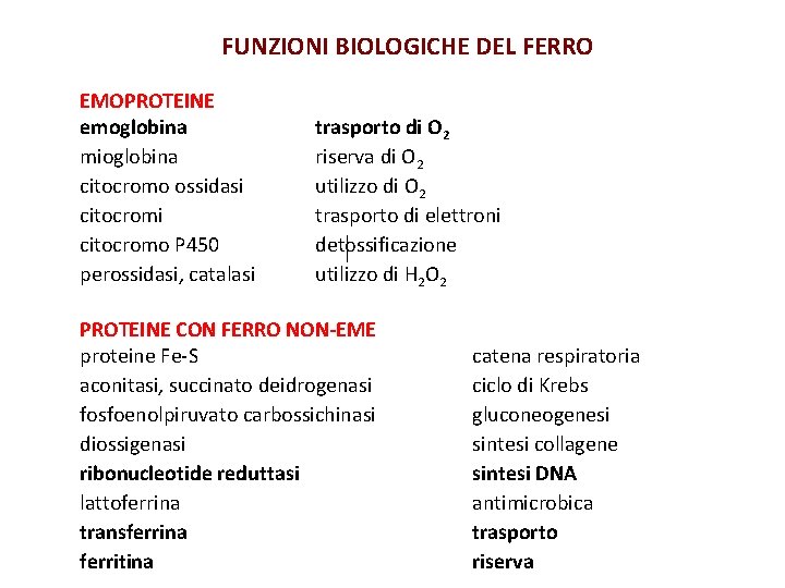 FUNZIONI BIOLOGICHE DEL FERRO EMOPROTEINE emoglobina mioglobina citocromo ossidasi citocromo P 450 perossidasi, catalasi