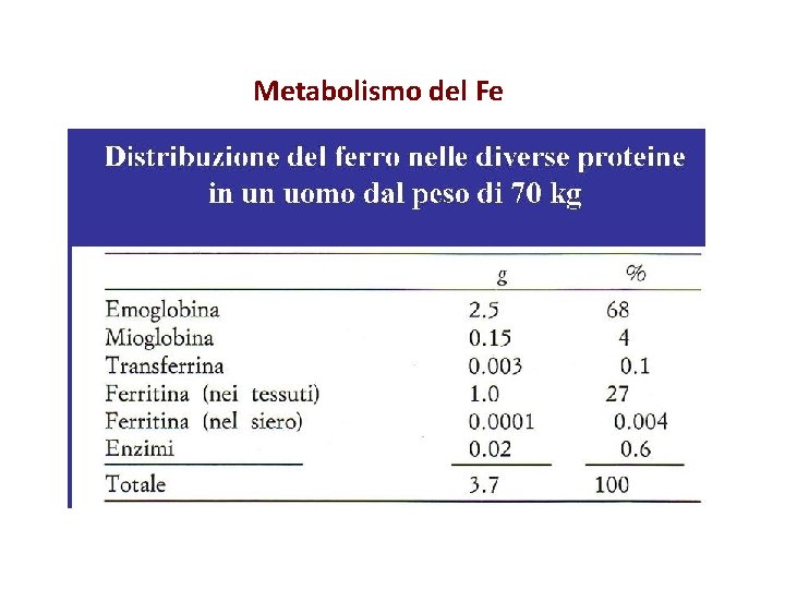 Metabolismo del Fe 