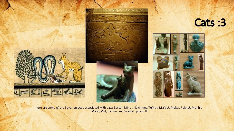 Cats : 3 here are some of the Egyptian gods associated with cats: Bastet,