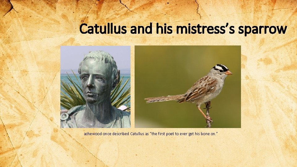 Catullus and his mistress’s sparrow achewood once described Catullus as “the first poet to