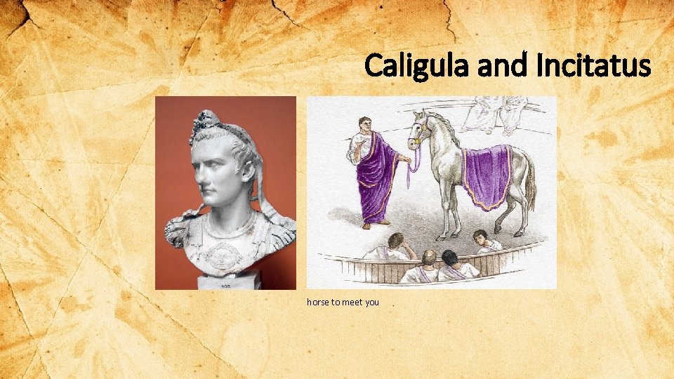 Caligula and Incitatus horse to meet you 