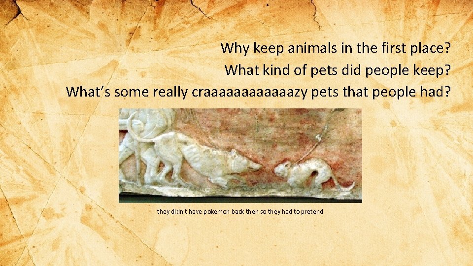 Why keep animals in the first place? What kind of pets did people keep?