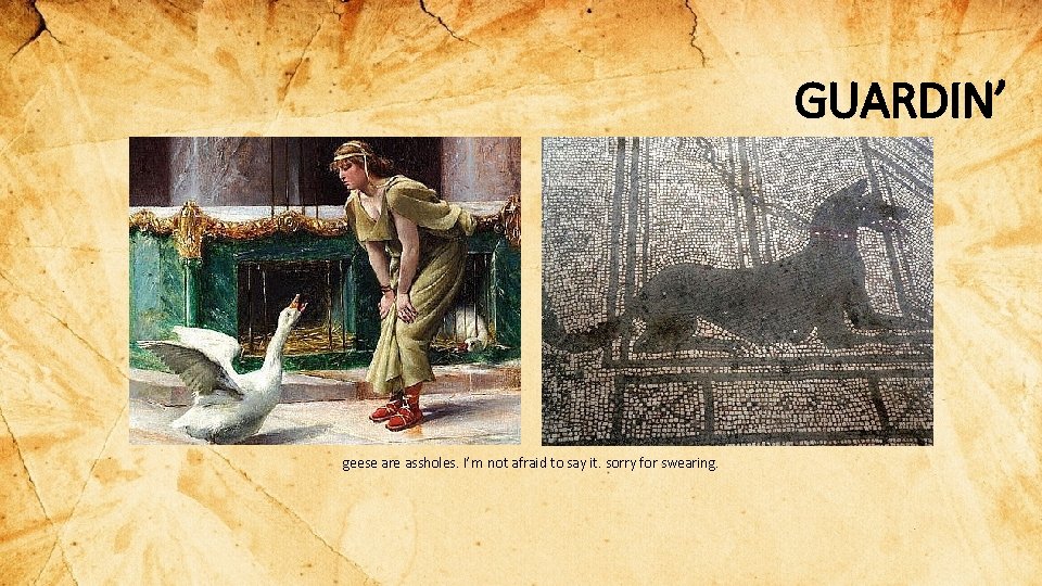 GUARDIN’ geese are assholes. I’m not afraid to say it. sorry for swearing. 