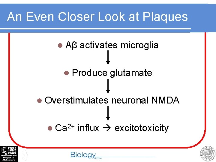 An Even Closer Look at Plaques l Aβ activates microglia l Produce l Overstimulates