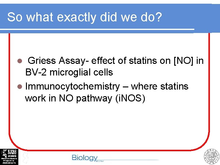 So what exactly did we do? Griess Assay- effect of statins on [NO] in