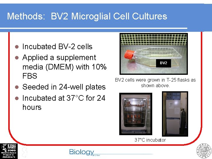 Methods: BV 2 Microglial Cell Cultures Incubated BV-2 cells l Applied a supplement media