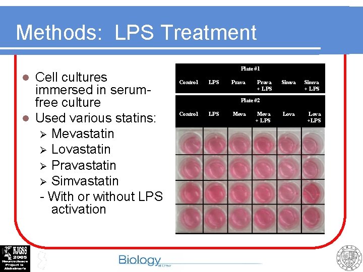 Methods: LPS Treatment Cell cultures immersed in serumfree culture l Used various statins: Ø