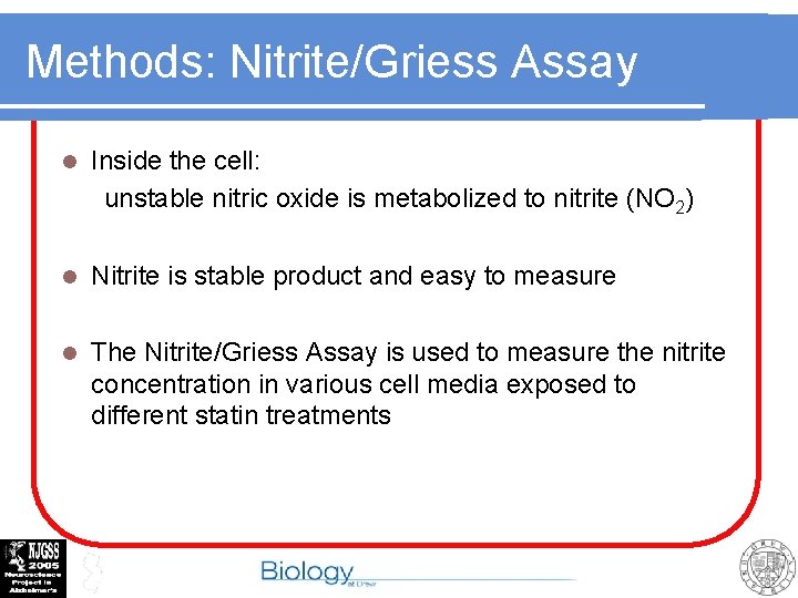 Methods: Nitrite/Griess Assay l Inside the cell: unstable nitric oxide is metabolized to nitrite